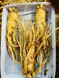  Sâm tươi Hàn Quốc nguyên củ size 3 tới 35 củ / kg TPCN 