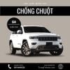 Voucher Lắp lưới chống chuột miễn phí tại Trung Tín Auto