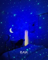 GAIA GALAXY VIETNAM