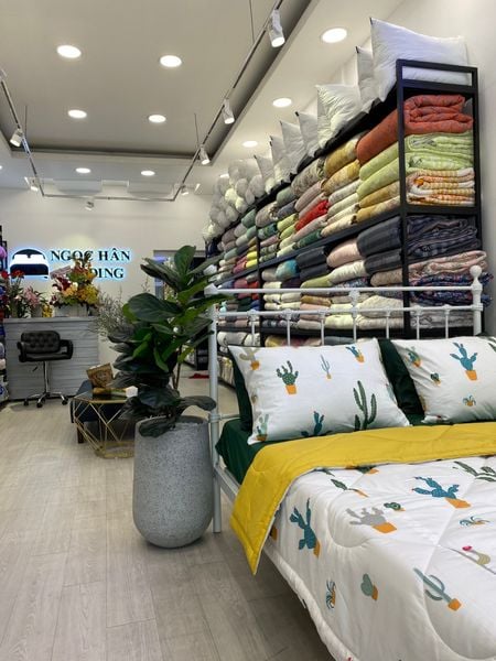  Bedding bộ chăn ga gối đẹp Xương Rồng 