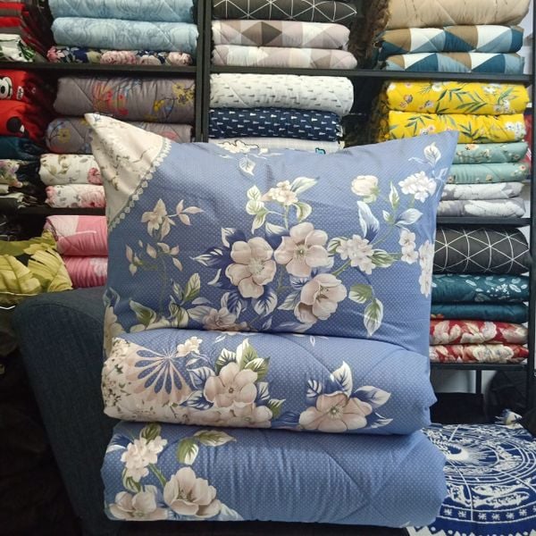  Bedding bộ chăn ga gối đẹp Cánh Tiên Xanh 