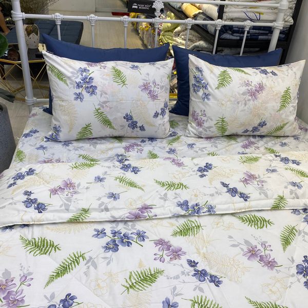  Bedding bộ chăn ga gối đẹp Lan trắng 