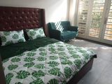  Bedding bộ chăn ga gối đẹp Trầu bà 