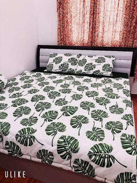  Bedding bộ chăn ga gối đẹp Trầu bà 