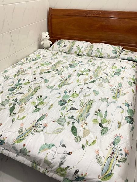  Bedding Bộ Tencel Xương Rồng 