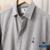 SM Oxford Thêu Gấu SMBTBN08