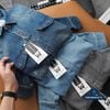 Sơ Mi Dài Tay Denim SMDWM4072