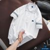 Polo Phối Màu ATLCVG82