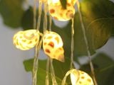  Đèn LED dây nghệ thuật Vỏ Ốc Hương 