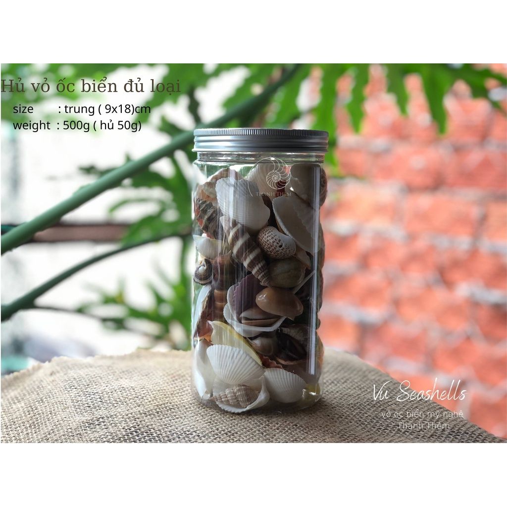  Vỏ Ốc Biển Đủ Loại 350g - 500g Dùng Trong Phụ Kiện Chụp Ảnh - Phụ Kiện HandMade - Trang Trí. 