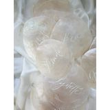  set 10 vỏ ốc điệp trắng - dùng trong thiết kế, viết chữ sự kiện 