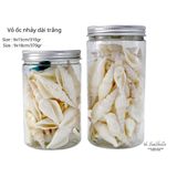  Vỏ Ốc Biển - Hủ Vỏ Ốc Nhảy Dài Trắng - Dùng Trong Trang Trí - Decor Chụp Ảnh 