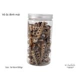  Vỏ Ốc Biển - Hủ Vỏ Ốc Đinh Mài - Dùng Trong Trang Trí - Decor Chụp Ảnh 