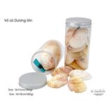  Vỏ Ốc Biển - Hủ Vỏ Sò Dương Lớn - Dùng Trong Trang Trí - Decor Chụp Ảnh 