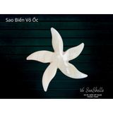  Phụ Kiện Decor - Sao Biển Làm Từ Vỏ Ốc 
