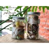  Vỏ Ốc Biển Đủ Loại 350g - 500g Dùng Trong Phụ Kiện Chụp Ảnh - Phụ Kiện HandMade - Trang Trí. 