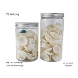  Vỏ Ốc Biển - Hủ Vỏ Sò Long - Dùng Trong Trang Trí - Decor Chụp Ảnh 