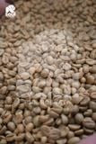  Robusta - TR - Natural - Anaerobic - Vietnam Fine Robusta 