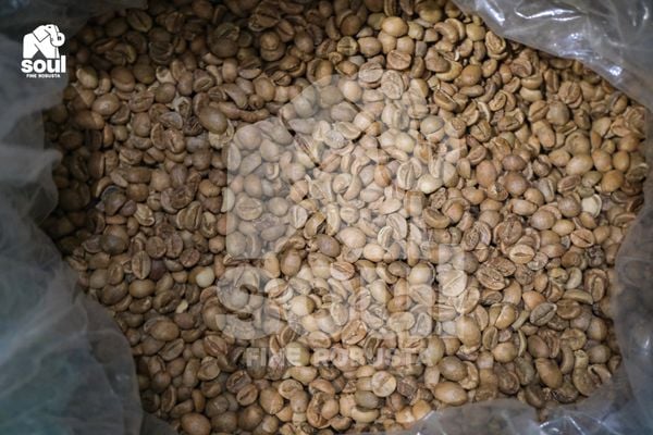  [SOLD OUT] TR - Natural - Men Địa Phương - CQI 86.83 - Top 1 Cà Nhân Xanh Việt Nam - Vietnam Fine Robusta 