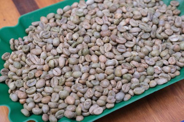  [SOLD OUT] Robusta - Yellow Honey - Vietnam Premium Robusta 