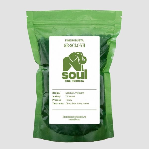  [SOLD OUT] Robusta - Yellow Honey - Vietnam Premium Robusta 