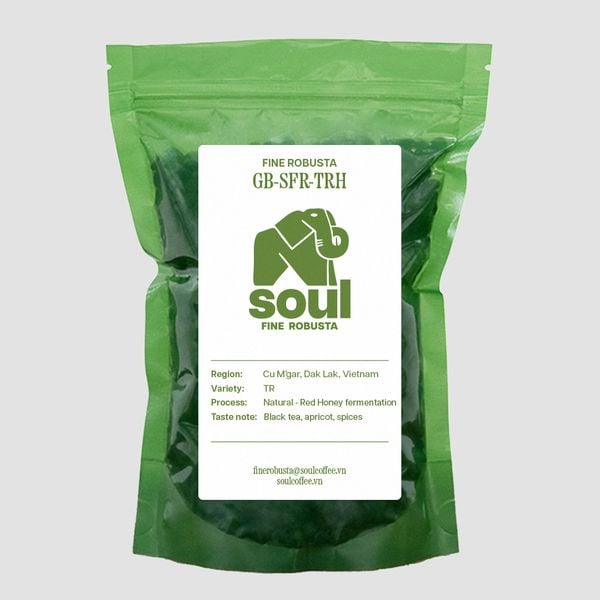  Robusta - TR - Red Honey - Anaerobic - Vietnam Fine Robusta 