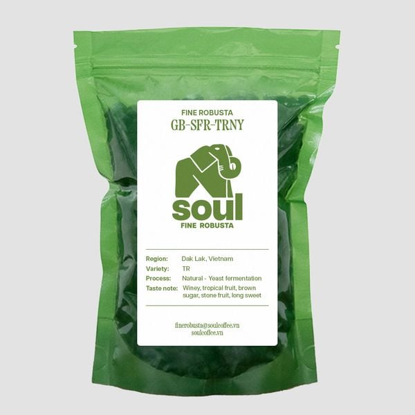  [SOLD OUT] TR - Natural - Men Địa Phương - CQI 86.83 - Top 1 Cà Nhân Xanh Việt Nam - Vietnam Fine Robusta 