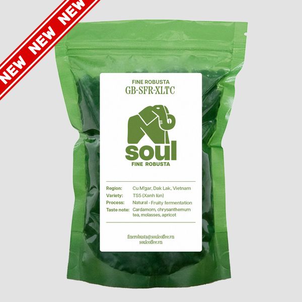  [NEW] Robusta - TS5 Xanh Lùn - Natural - Tropical Fruits - Vietnam Fine Robusta 