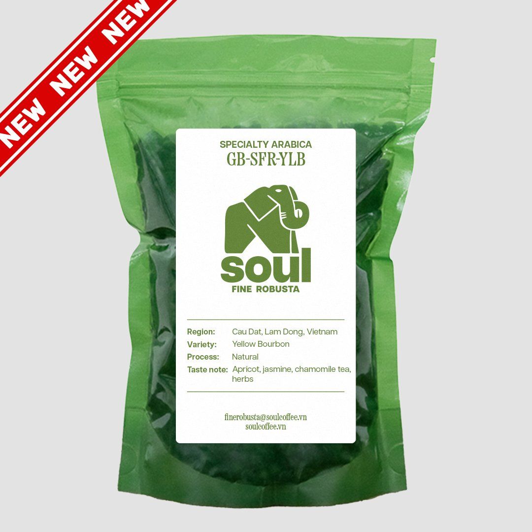  [NEW] Arabica - Yellow Bourbon - Natural - Vietnam Specialty Arabica 