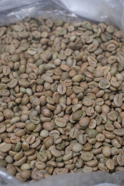  Robusta - Natural - Vietnam Premium Robusta 