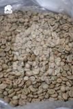  Robusta G1 Clean - Robusta Blend - Pulp Natural 