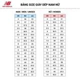 Giày Running Nữ New Balance W860D10