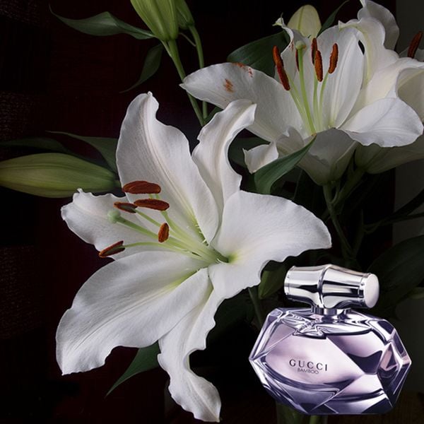 Nước Hoa Gucci Bamboo EDT 50ml