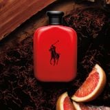 (HSD: 3/2027) Bộ Qùa Tặng f1689 Nam Ralph Lauren Polo Red Eau de Parfum 125ml-40ml