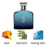 Bộ Quà Tặng Ralph Lauren Polo Deep Blue Parfum Spray / Vaporisateur 125ml - 40ml