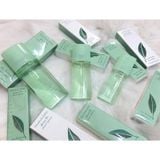 f1689 Elizabeth Arden Green Tea Scent EDT 50ml