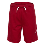 Quần Short f1687 Bé Trai Rookie Jordan App Jdb Jumpman Big Air Mesh Short 85B219-R78