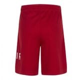 Quần Short f1687 Bé Trai Rookie Jordan App Jdb Jumpman Big Air Mesh Short 85B219-R78