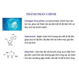 Hộp 10 Miếng Mặt Nạ Tăng Độ Đàn Hồi, Ngừa Lão Hóa Lebelage Dr.Capsule Collagen Mask Pack 25mlx10