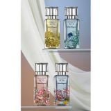 (HSD: 6/2026) Nước Hoa Nữ Salvatore Ferragamo Savane Di Seta EDP 100ml