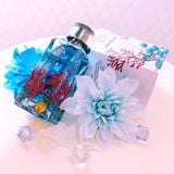 Nước Hoa Salvatore Ferragamo Oceani Di Seta EDP 100ml