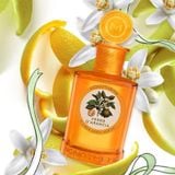 Nước Hoa Nữ Monotheme Il Libro Degli Agrumi Verde D’Arancia EDT 100ml