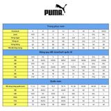Áo Thun Thời Trang Nam Puma CLSX Tee 53151601