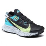 Giày Chạy Bộ Nữ Nike FW W Pegasus Trail 2 CK4309-003