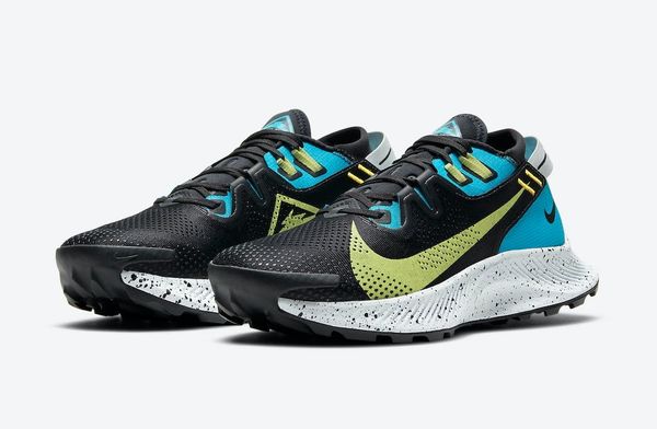 Giày Chạy Bộ Nữ Nike FW W Pegasus Trail 2 CK4309-003