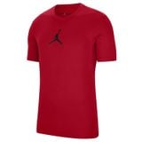 Áo Thun Bóng Rổ Nam Nike JUMPMAN DF SS CREW CW5190-687