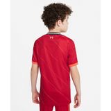Áo Thun Đá Bóng Bé Trai Nike APP LFC YNK DF STAD JSY SS HM DB2568-688