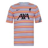 Áo Thun Bóng Đá Nam Nike APP LFC MNK DF TOP SS PM CL DB7627-017