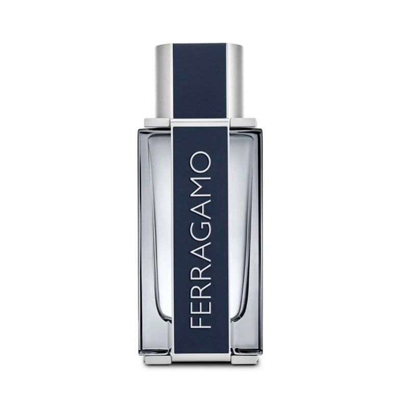 Nước Hoa Ferragamo By Salvatore Ferragamo For Men EDT 100ml