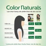 (HSD: 7/2027) Kem Nhuộm Tóc Garnier Color Naturals Crème Riche Màu 3 Darkest Brown Nâu Tự Nhiên 100gr